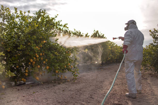 Pest Control Cost in North Corbin, KY