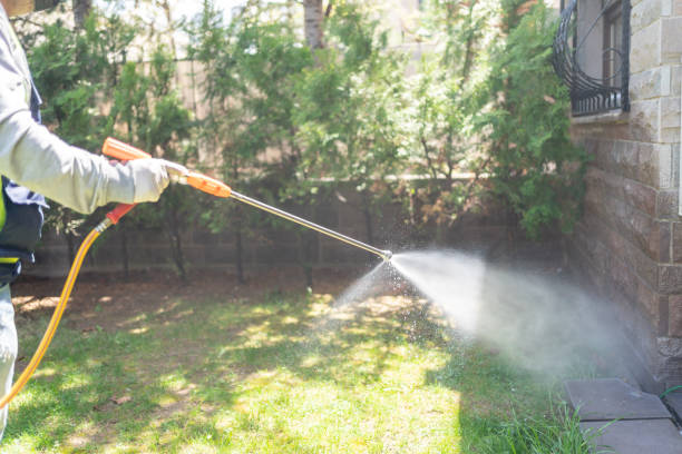 Bird Control in North Corbin, KY