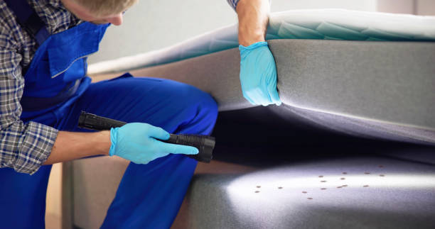 Best Pest Prevention Services  in North Corbin, KY