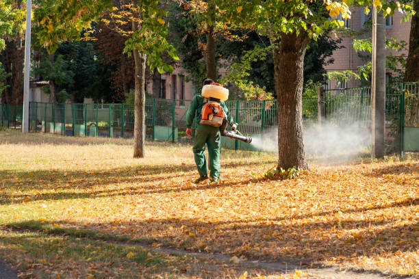 Best Emergency Pest Control  in North Corbin, KY