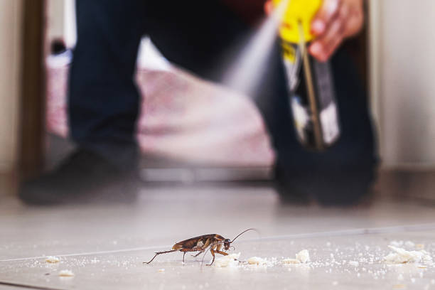  North Corbin, KY Pest Control Pros