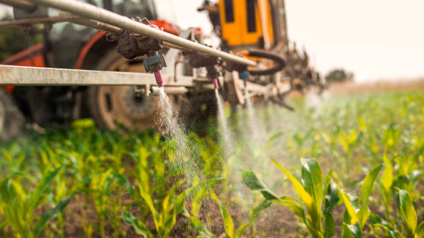 Best Pest Control Cost  in North Corbin, KY